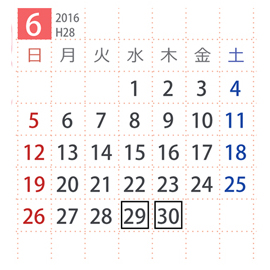 ippan6